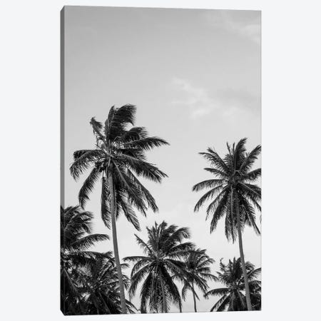 Palms in Grey Canvas Print #FBK364} by Design Fabrikken Canvas Print