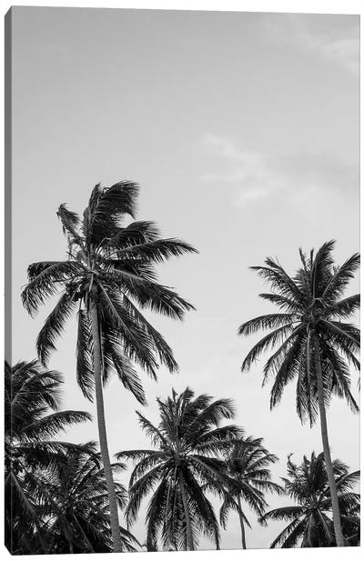 Palms in Grey Canvas Art Print - Gray Art
