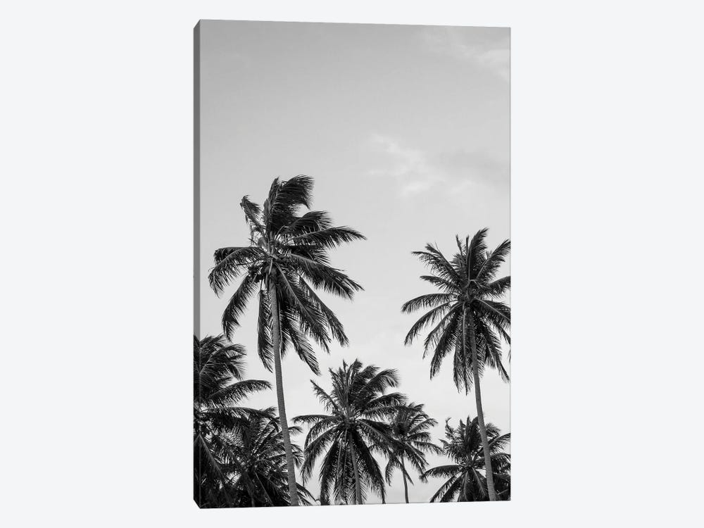 Palms in Grey by Design Fabrikken 1-piece Art Print