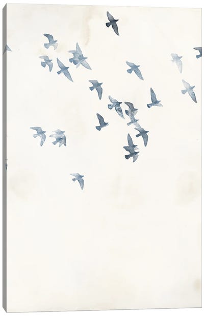 Pigeons Sky Canvas Art Print - Dove & Pigeon Art