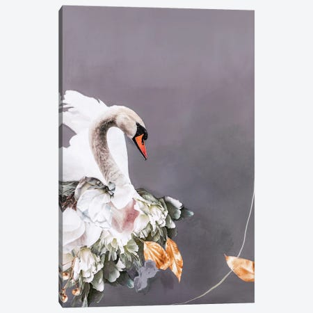 Swan Gold I Canvas Print #FBK435} by Design Fabrikken Canvas Art Print