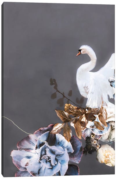 Swan Gold II Canvas Art Print - Design Fabrikken