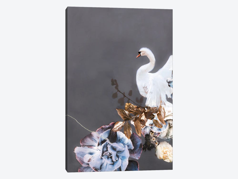Swan Gold II by Design Fabrikken 1-piece Art Print