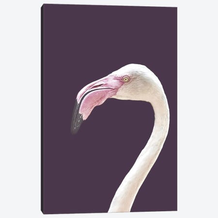 The Flamingo Canvas Print #FBK440} by Design Fabrikken Art Print
