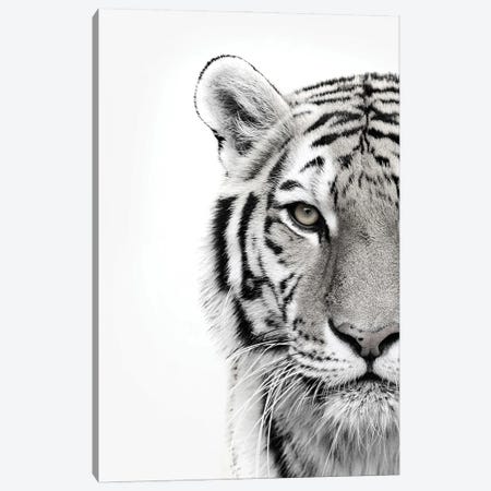 White Tiger Canvas Print #FBK475} by Design Fabrikken Canvas Print