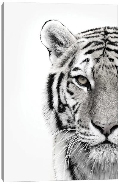 White Tiger Canvas Art Print - Design Fabrikken