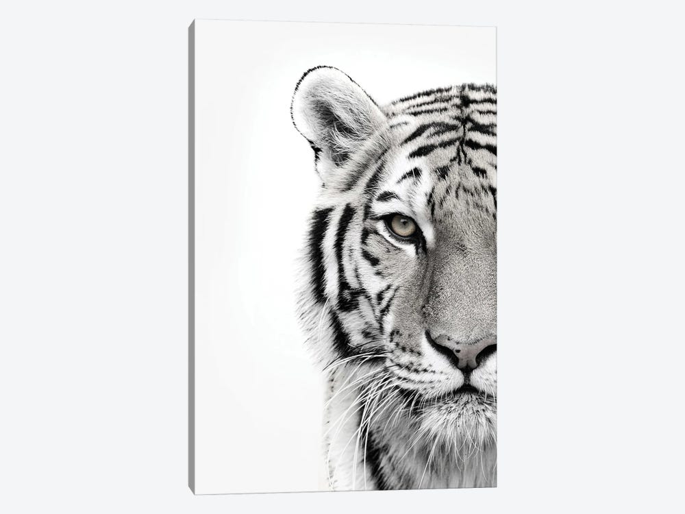 White Tiger by Design Fabrikken 1-piece Canvas Art