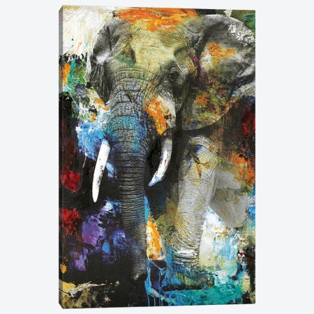 Elephant Canvas Print #FBK48} by Design Fabrikken Canvas Art Print