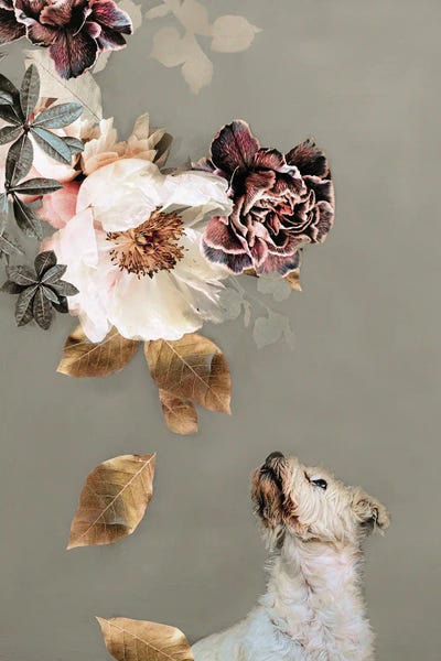 Design Fabrikken: Pet Couture II by Design Fabrikken