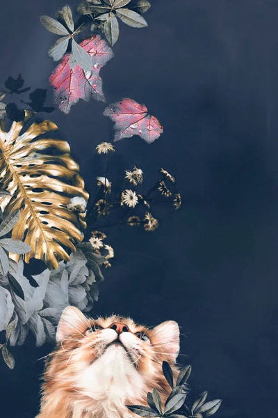 Design Fabrikken: Pet Couture III by Design Fabrikken