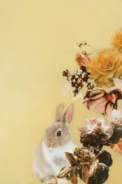 Design Fabrikken: Pet Couture IV by Design Fabrikken