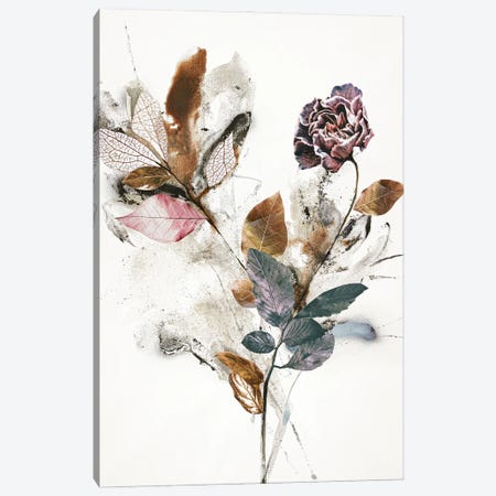Playing Flower I Canvas Print #FBK544} by Design Fabrikken Canvas Art Print