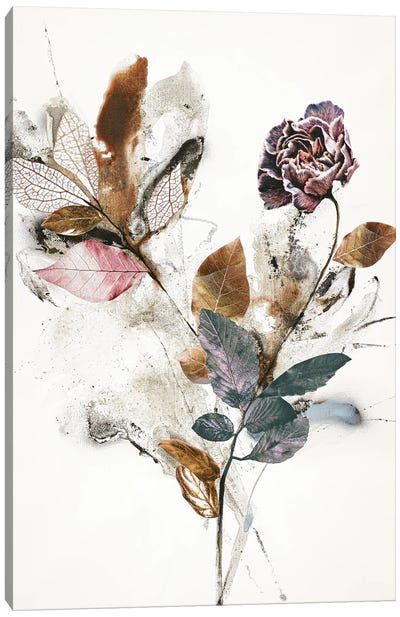 Playing Flower I Canvas Art Print - Design Fabrikken