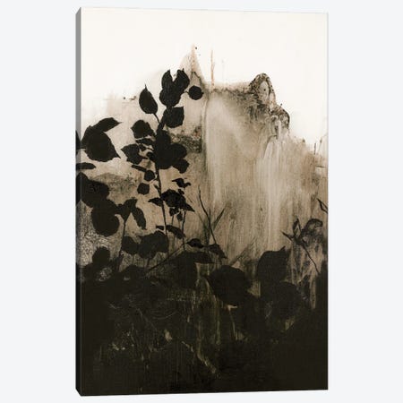 Silhouette Leaves II Canvas Print #FBK551} by Design Fabrikken Canvas Art Print