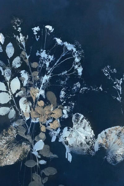 Pure Nature VII by Design Fabrikken canvas print