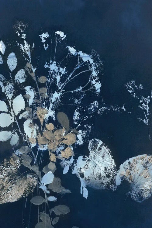 Pure Nature VII by Design Fabrikken wall art
