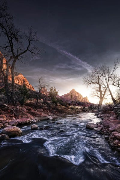 Dark Virgin by Fabio Antenore canvas print