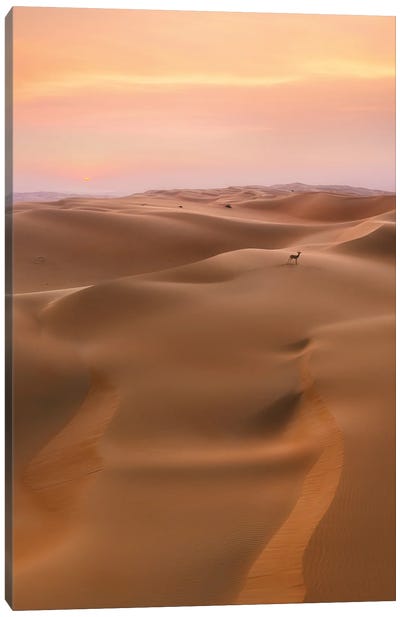Desert Life Canvas Art Print - Fabio Antenore