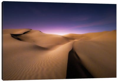 Dunes Canvas Art Print