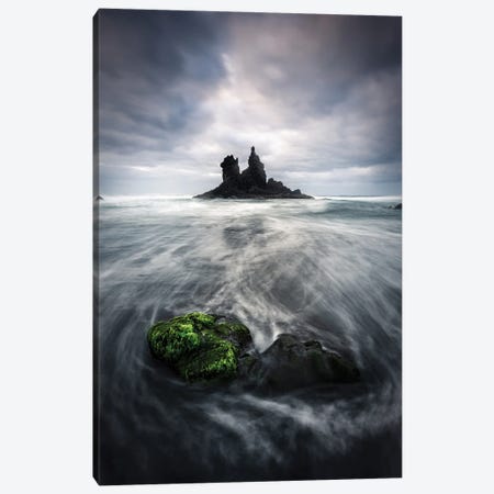 Moving Canvas Print #FBO24} by Fabio Antenore Canvas Wall Art