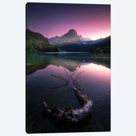 Obersee Canvas Print #FBO49} by Fabio Antenore Canvas Art Print