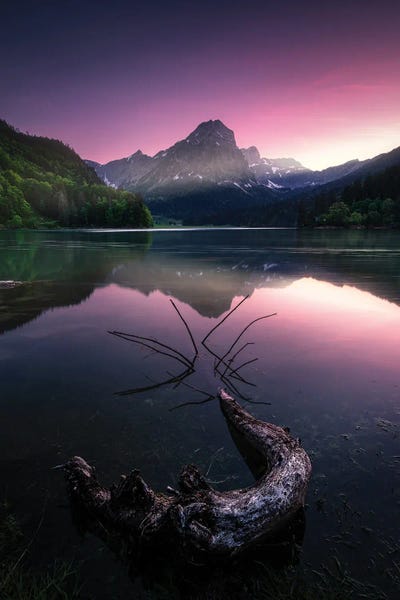 Fabio Antenore: Obersee by Fabio Antenore