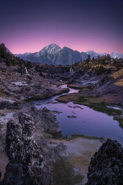 Fabio Antenore: Purple Land by Fabio Antenore