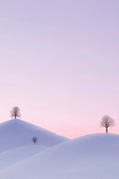 Snow: Silence by Fabio Antenore