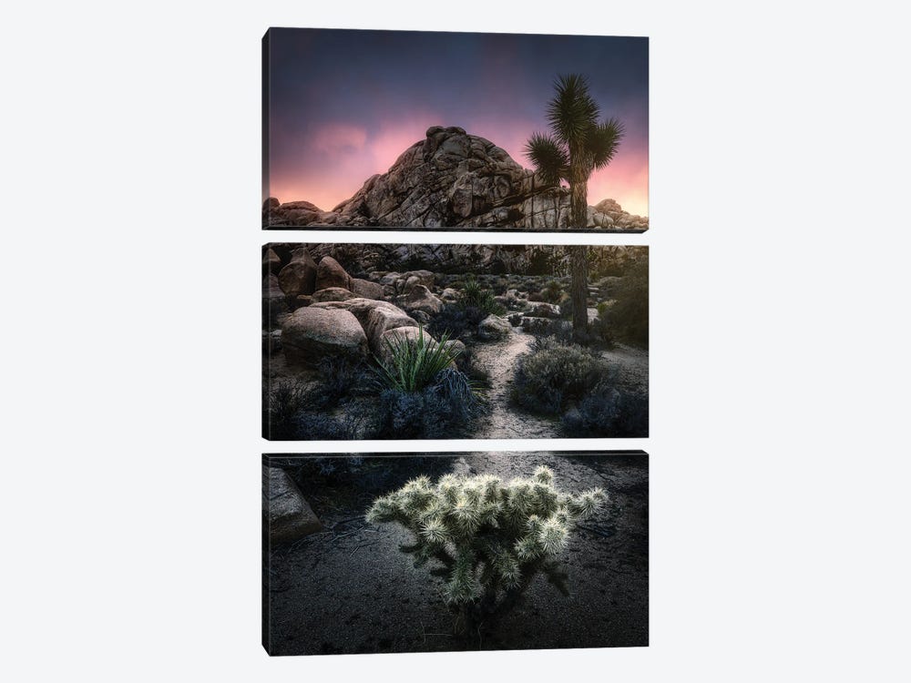 The Cactus And The Rock by Fabio Antenore 3-piece Canvas Art Print