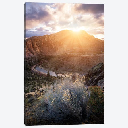The Morning Canvas Print #FBO83} by Fabio Antenore Canvas Art Print
