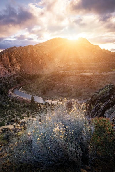 Take A Hike: The Morning by Fabio Antenore