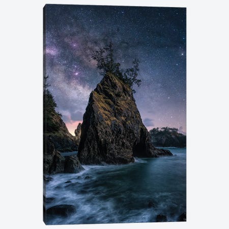 The One Canvas Print #FBO85} by Fabio Antenore Canvas Wall Art