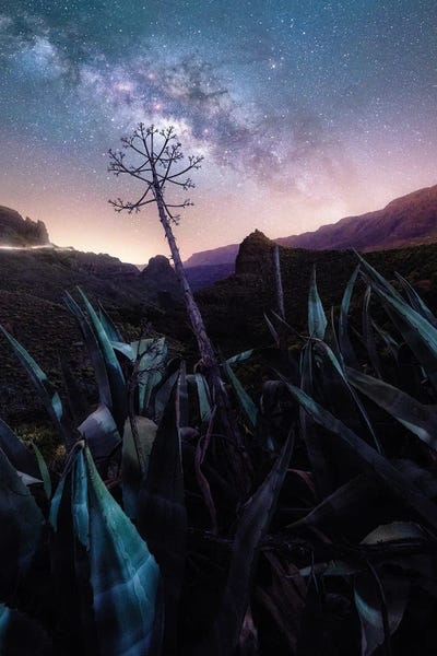 Stargazers: Touch The Sky by Fabio Antenore