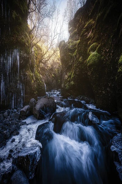 Fabio Antenore: Valley River by Fabio Antenore