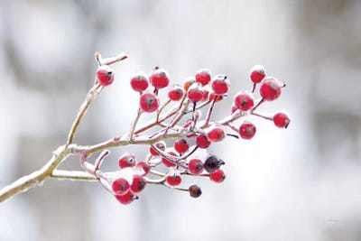 Berries