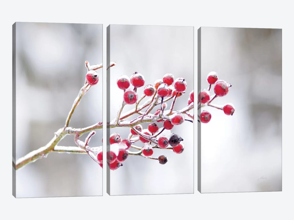 Winter Berries I 3-piece Canvas Wall Art