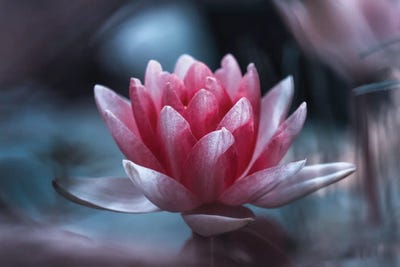 Offer by Fabien Bravin acrylic art print