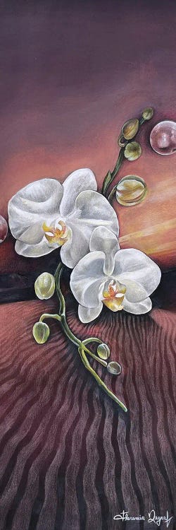 Orchid