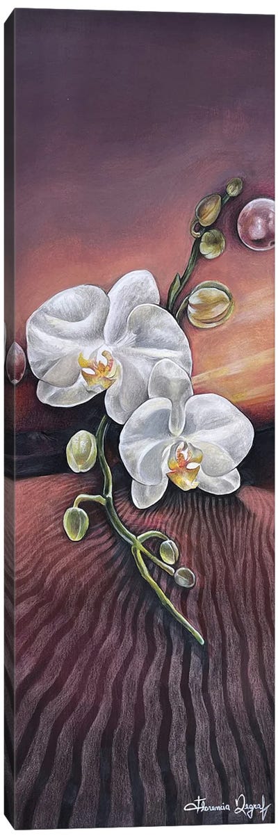 Orchid Canvas Art Print - Orchid Art