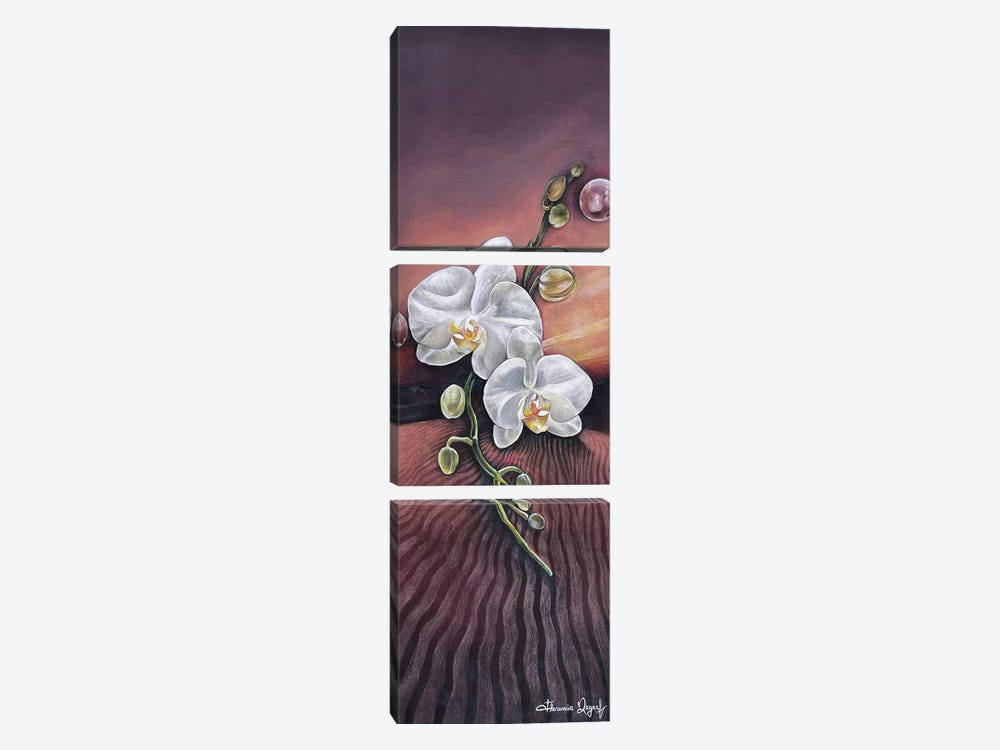 Orchid by Florencia Degraf 3-piece Art Print