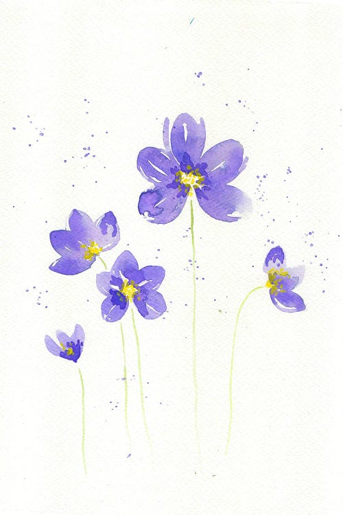 Purple Flower