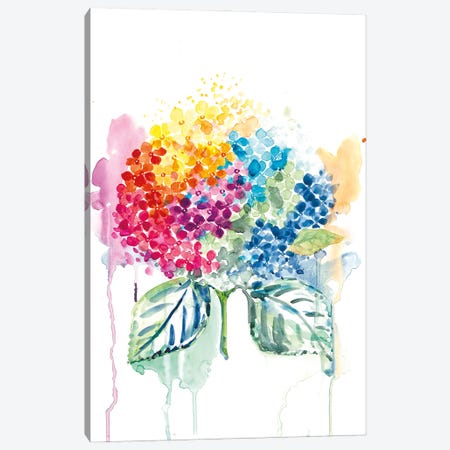 Rainbow Hydrangea Canvas Print #FDG67} by FNK Designs Canvas Art