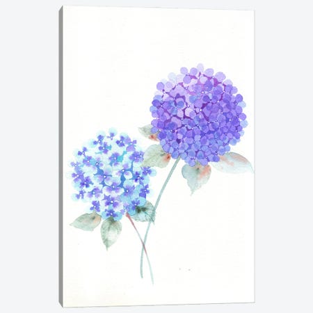 Purple Hydrangea Canvas Print #FDG70} by FNK Designs Canvas Art