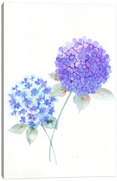 Purple Hydrangea Canvas Art Print - FNK Designs
