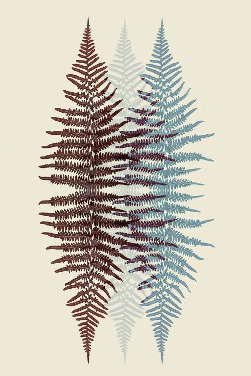 Chocolate And Teal Fern Pattern