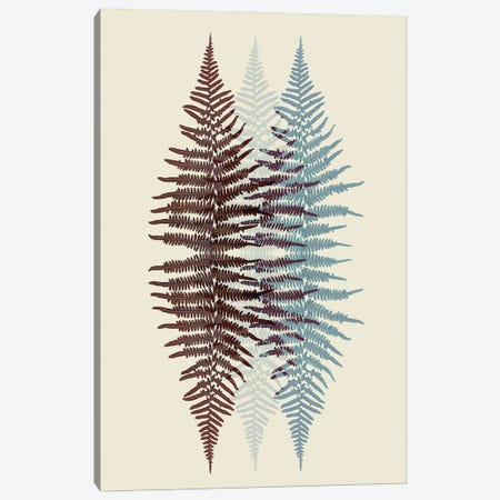 Chocolate And Teal Fern Pattern Canvas Print #FEN103} by Alyson Fennell Canvas Artwork