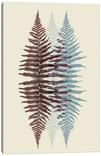 Chocolate And Teal Fern Pattern Canvas Art Print - Alyson Fennell