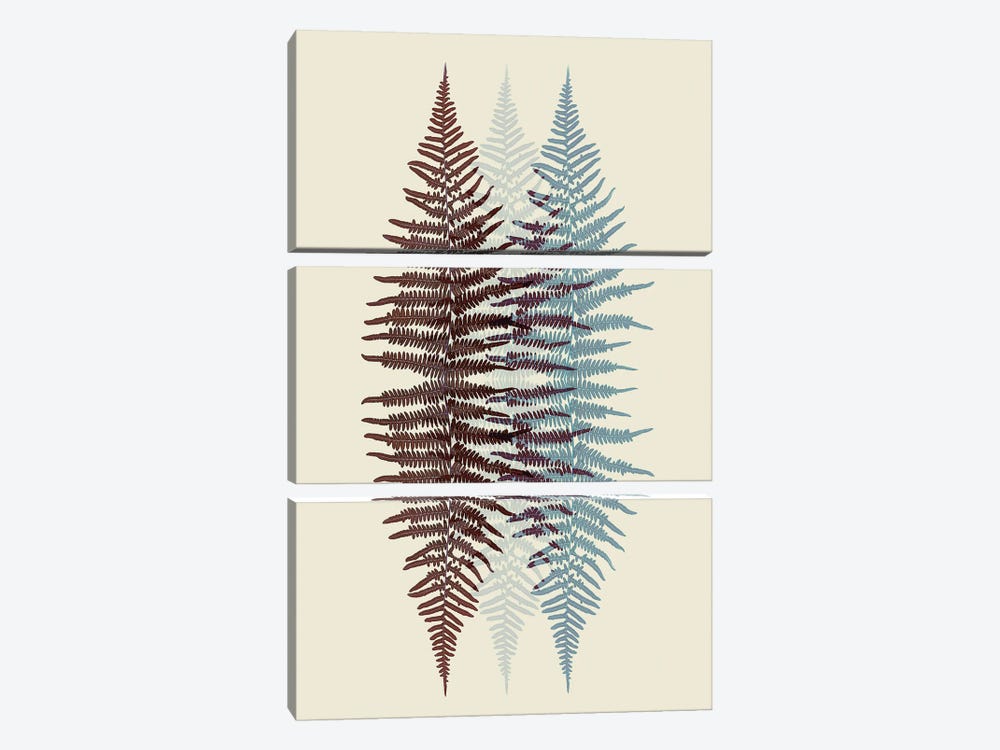 Chocolate And Teal Fern Pattern by Alyson Fennell 3-piece Canvas Print