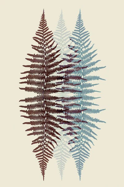 Chocolate And Teal Fern Pattern