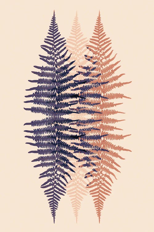 Late Sunset Fern Pattern